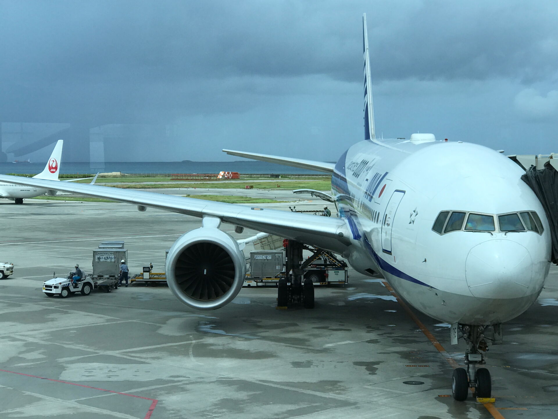 Japan Airlines