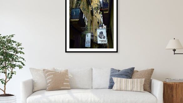 Cameras and Films Alleyway in Barcelona's Gothic Quarter Framed Print