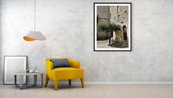 Peniscola's Papa Luna Castle Olive Tree in the Castle Courtyard - Ancient Stone Wall with Olive Tree