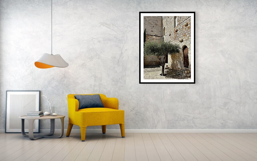 Peniscola's Papa Luna Castle Olive Tree in the Castle Courtyard - Ancient Stone Wall with Olive Tree