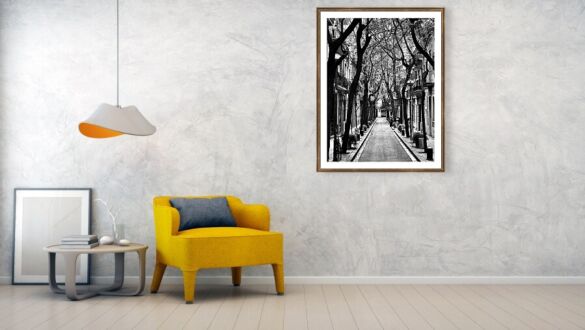 Barcelona Narrow Street with Tall Tree Canopy in Black and White Catalonia Spain Fine Art Print