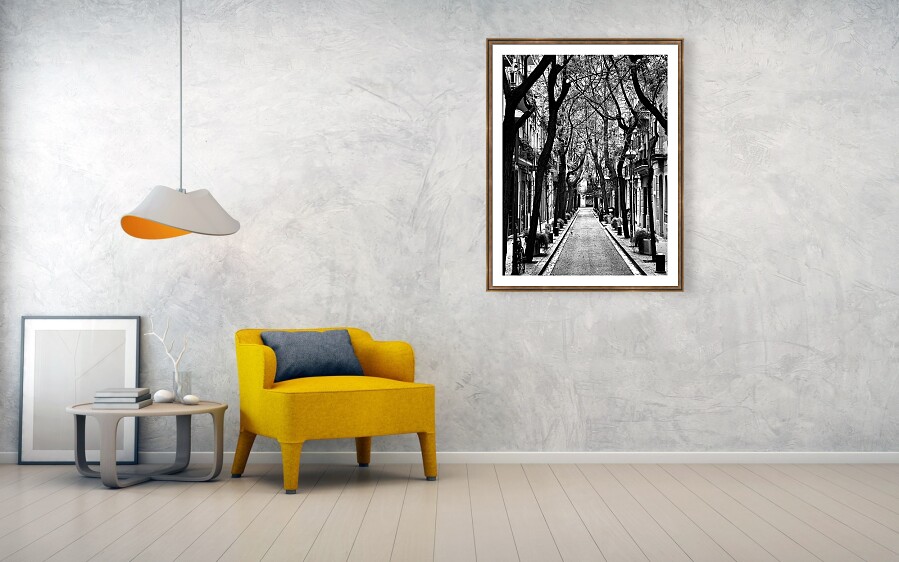 Barcelona Narrow Street with Tall Tree Canopy in Black and White Catalonia Spain Fine Art Print